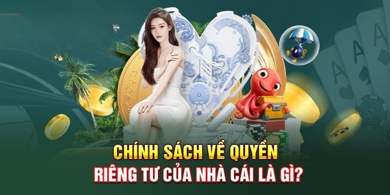 Tổng quan về chính sách quyền riêng tư 