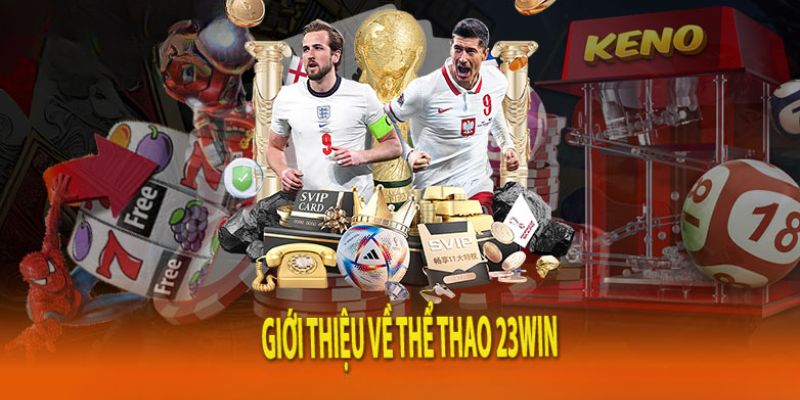 Tổng quan về trang web cá cược thể thao 23WIN